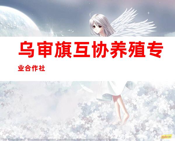 乌审旗互协养殖专业合作社